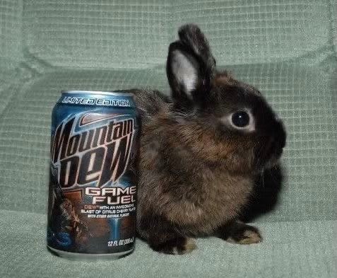 🔞🎄~OscarPro53~🎄🔞 tweet media