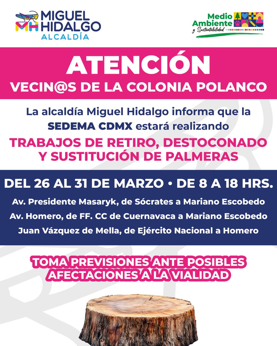 Alcaldía Miguel Hidalgo tweet media