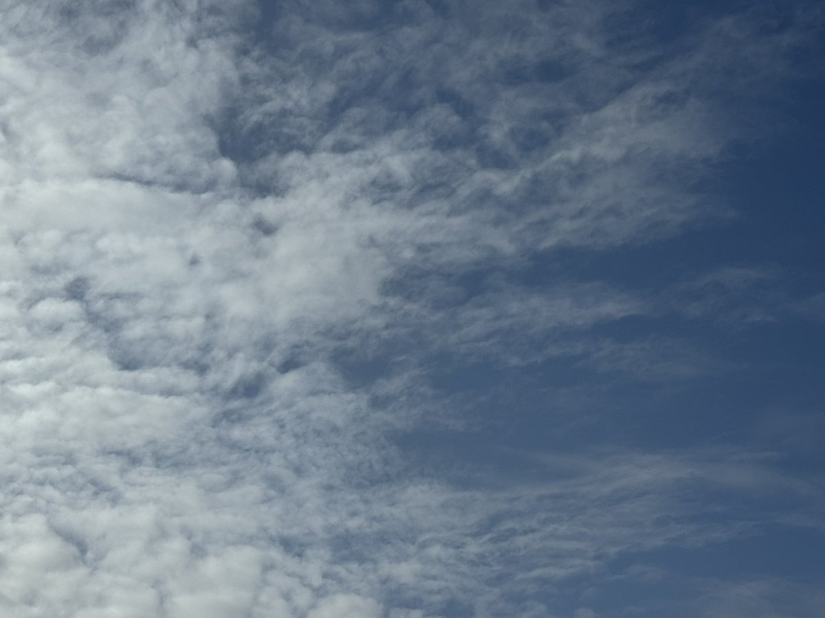 MaskedRider tweet media