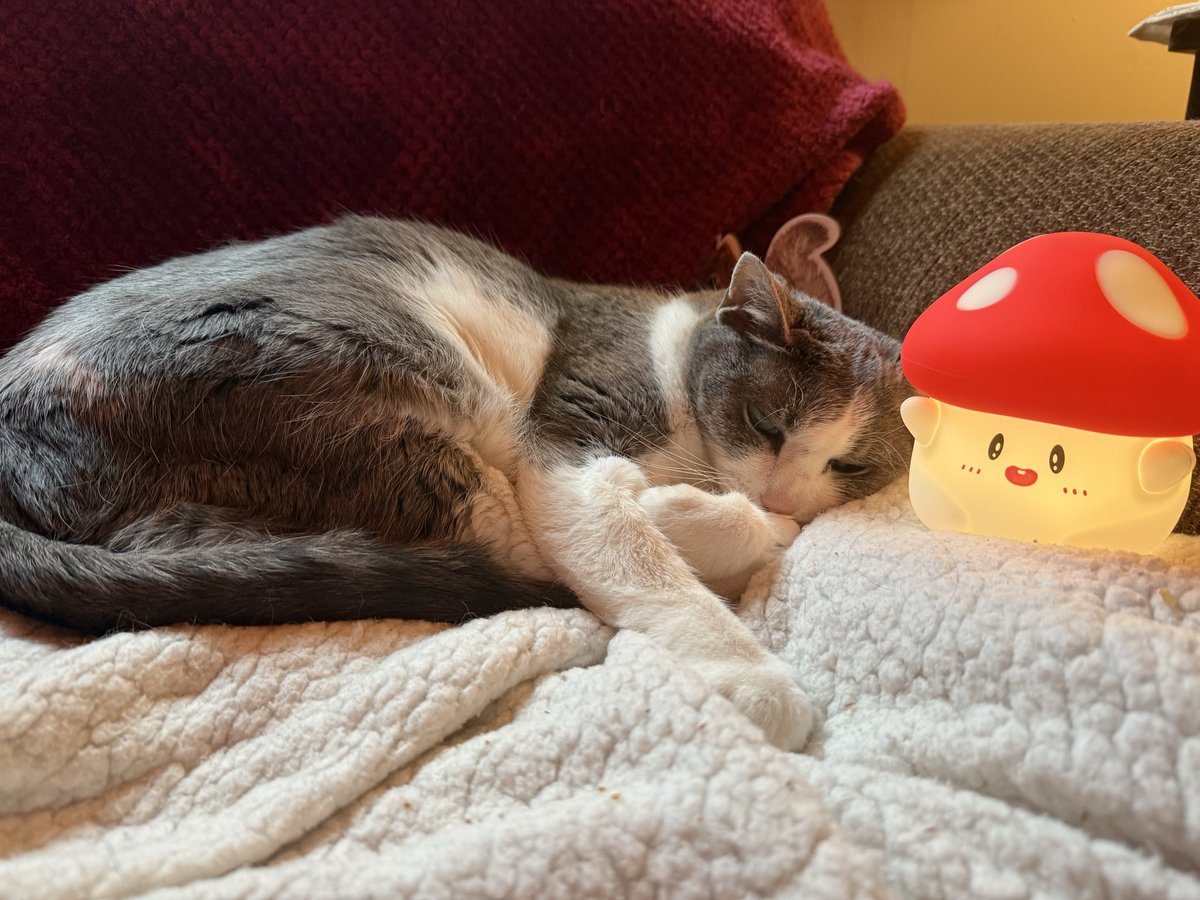 🍂 Sniffyleaf 🍂 tweet media