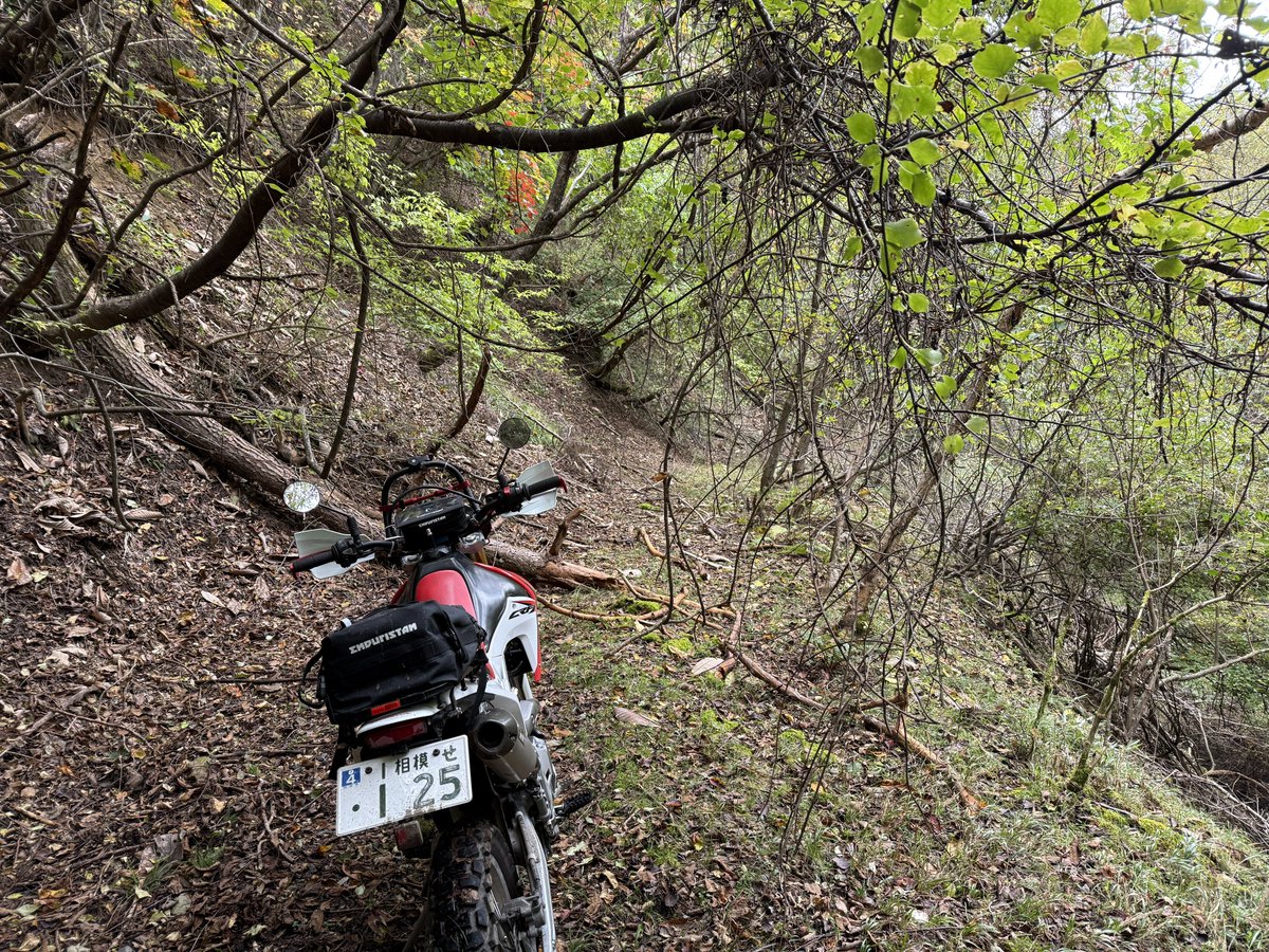 とらいべっか tweet media