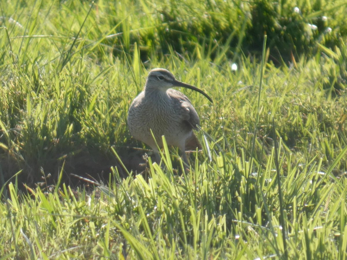 Garry Hayes tweet media