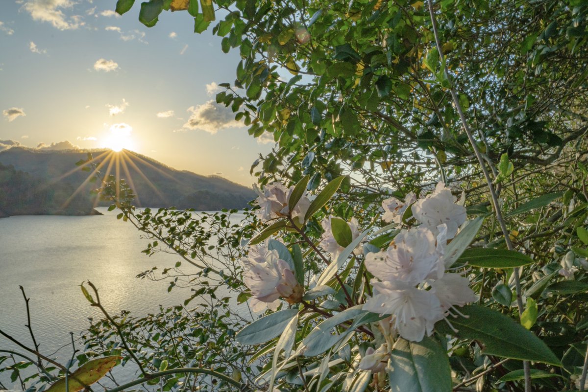 Explore Bryson City tweet media