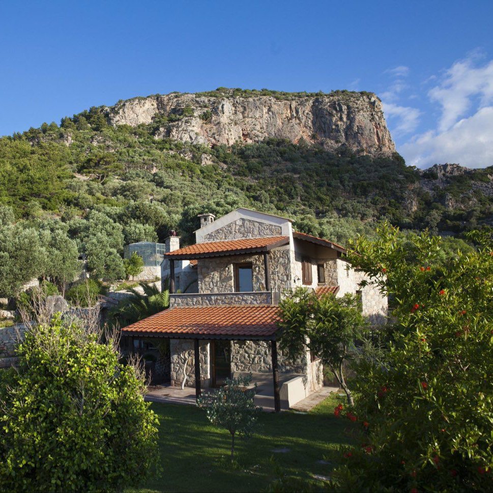 etginlik tweet media