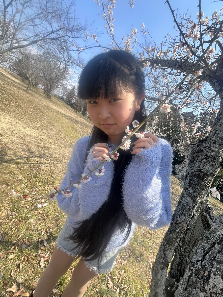 【公式】マジカルバルルーンYes tweet media