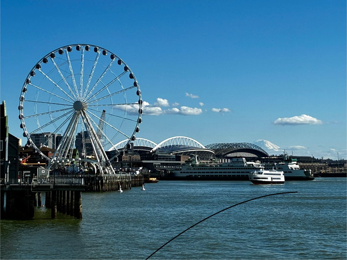 SeizureSalad 🧠 tweet media