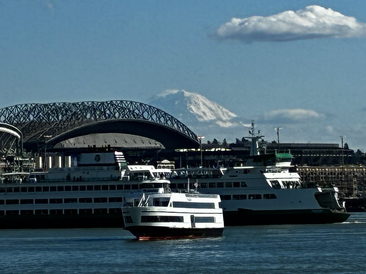 SeizureSalad 🧠 tweet media