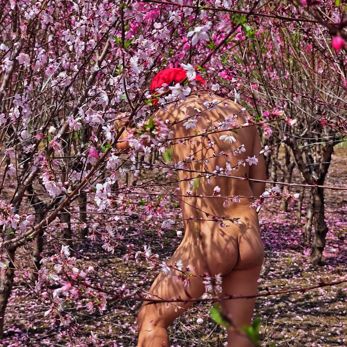 春天就该多拍拍🌺