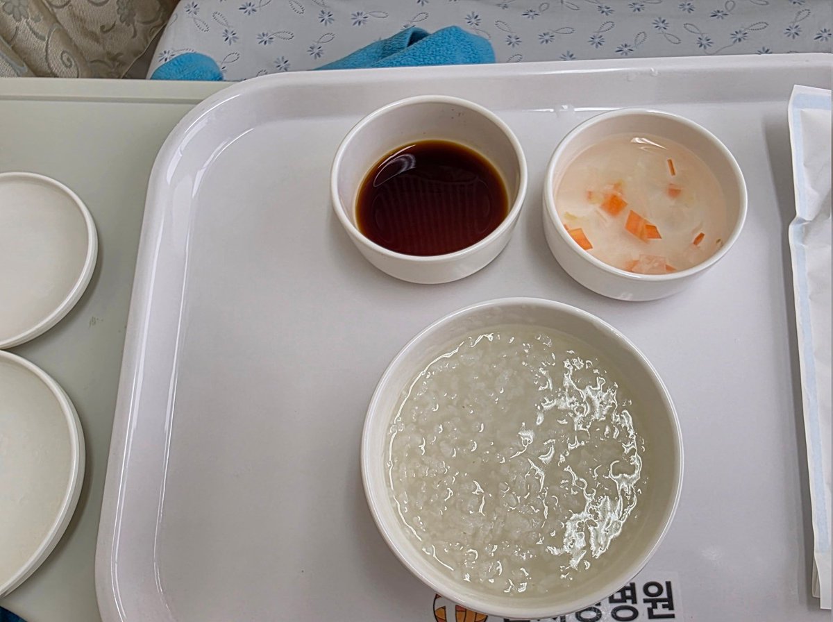 별이된 몽실.담비 (별몽실담비언니) tweet media