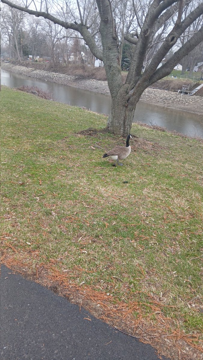 HE WOULDN'T STOP FOLLOWING ME!!!! 😭😭😭😭