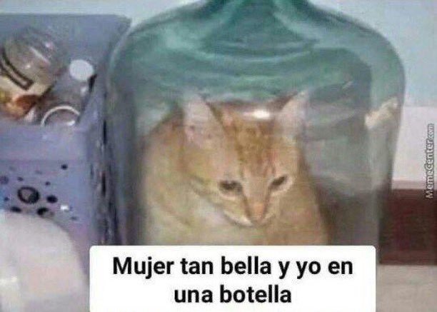 Sebs🐰🌳🇨🇴 tweet media