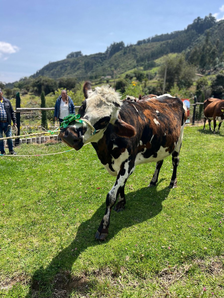 FEDEGAN PAIPA tweet media