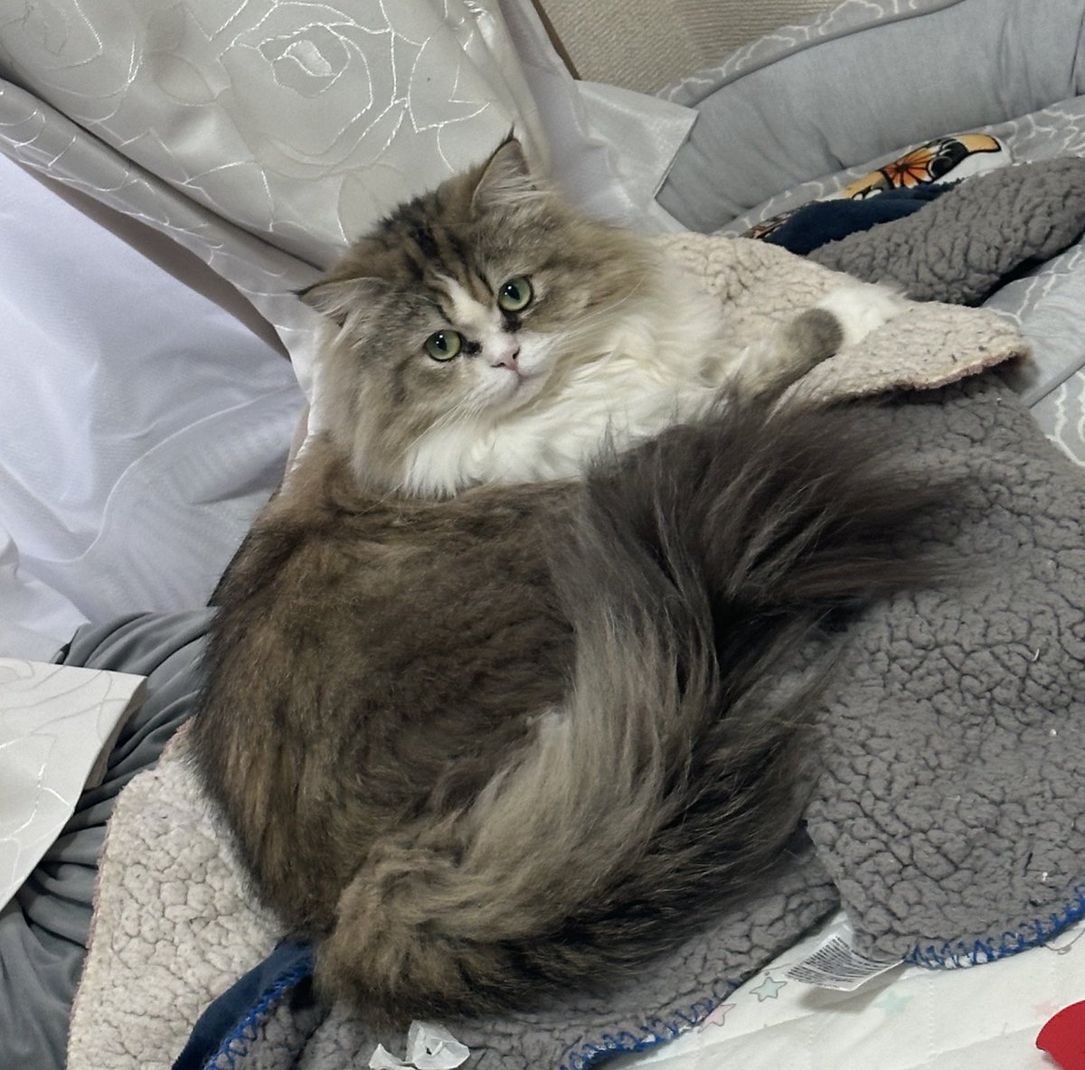 garyouink tweet media