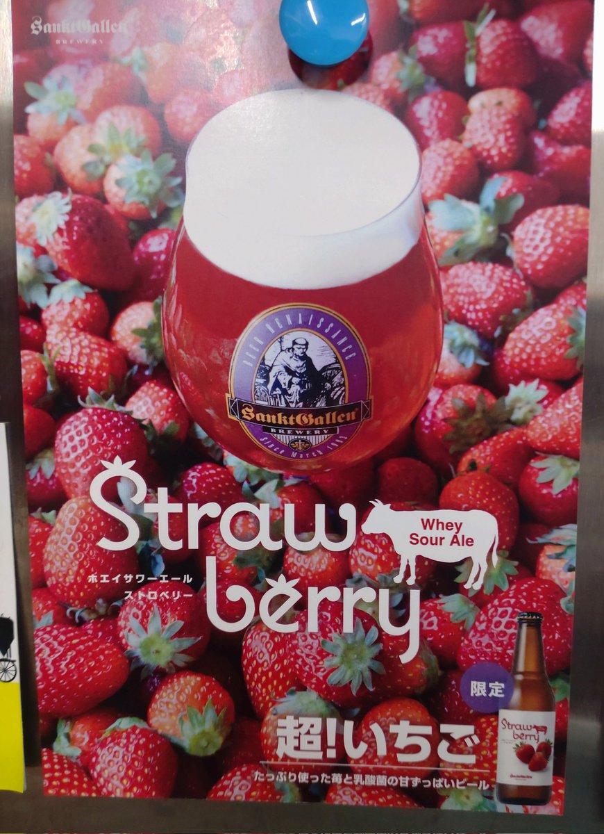 【新規開栓】
神奈川　サンクトガーレン
🍓ホエイサワーストロベリー🍓
フルーツサワーエール
4.0%
たっぷり使った苺の甘い香りはジャムのようで、
乳酸発酵の酸味と相まって、
ビールとは思えない甘ずっぱい味わいです。

#BeerPubねことあざらし
#三鷹クラフトビール
#サンクトガーレン