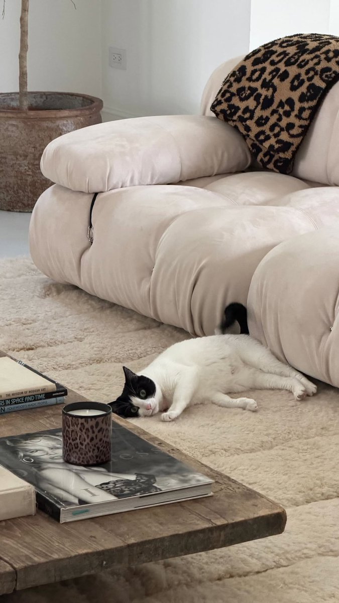 Updates Beer Brasil tweet media