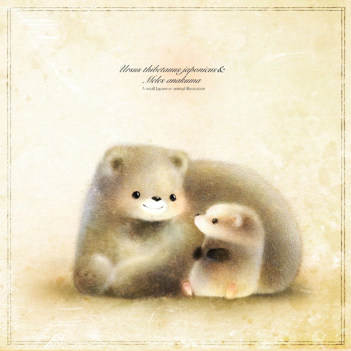 いぬい さえこ🐿️ tweet media