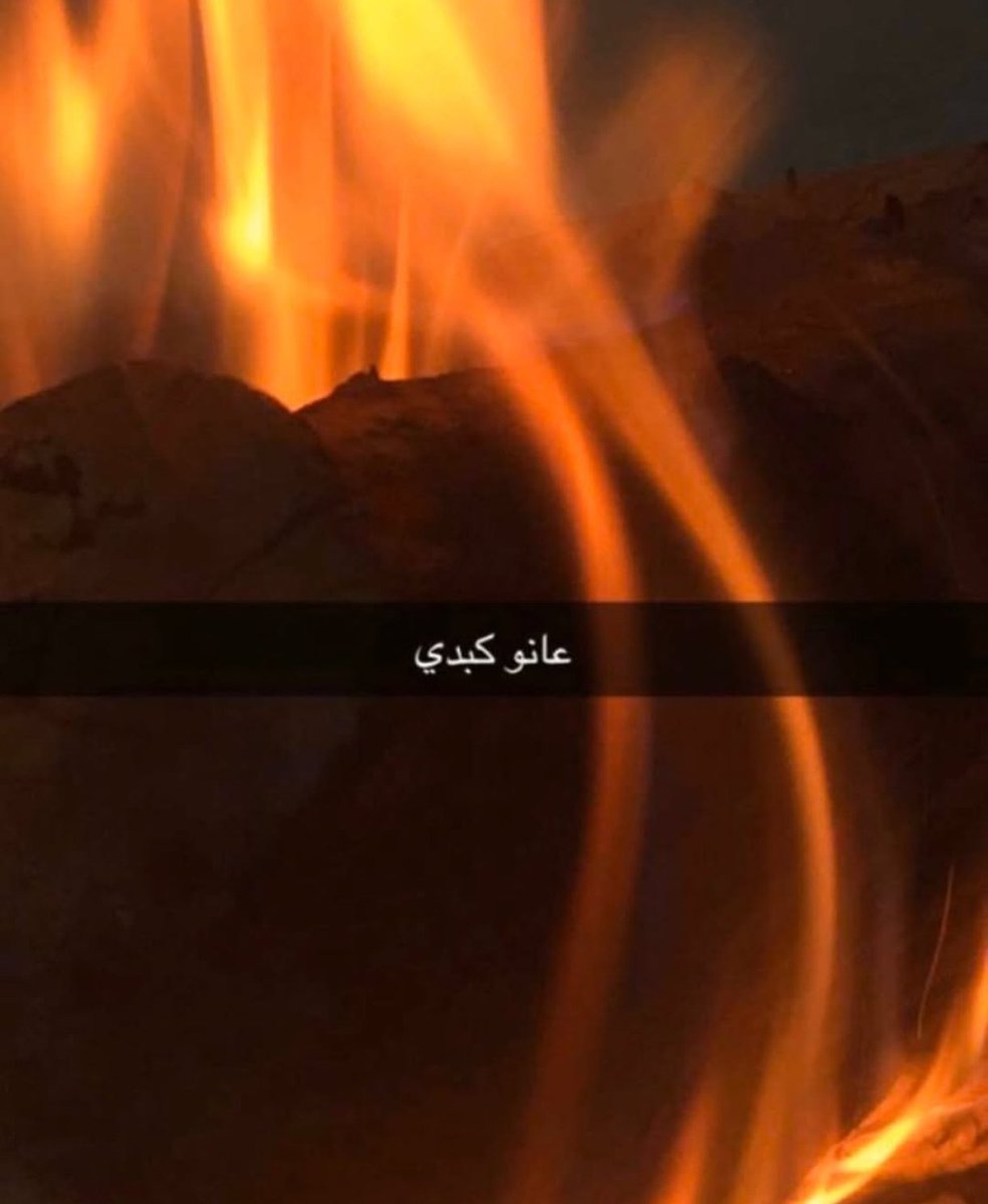 سنيوري tweet media