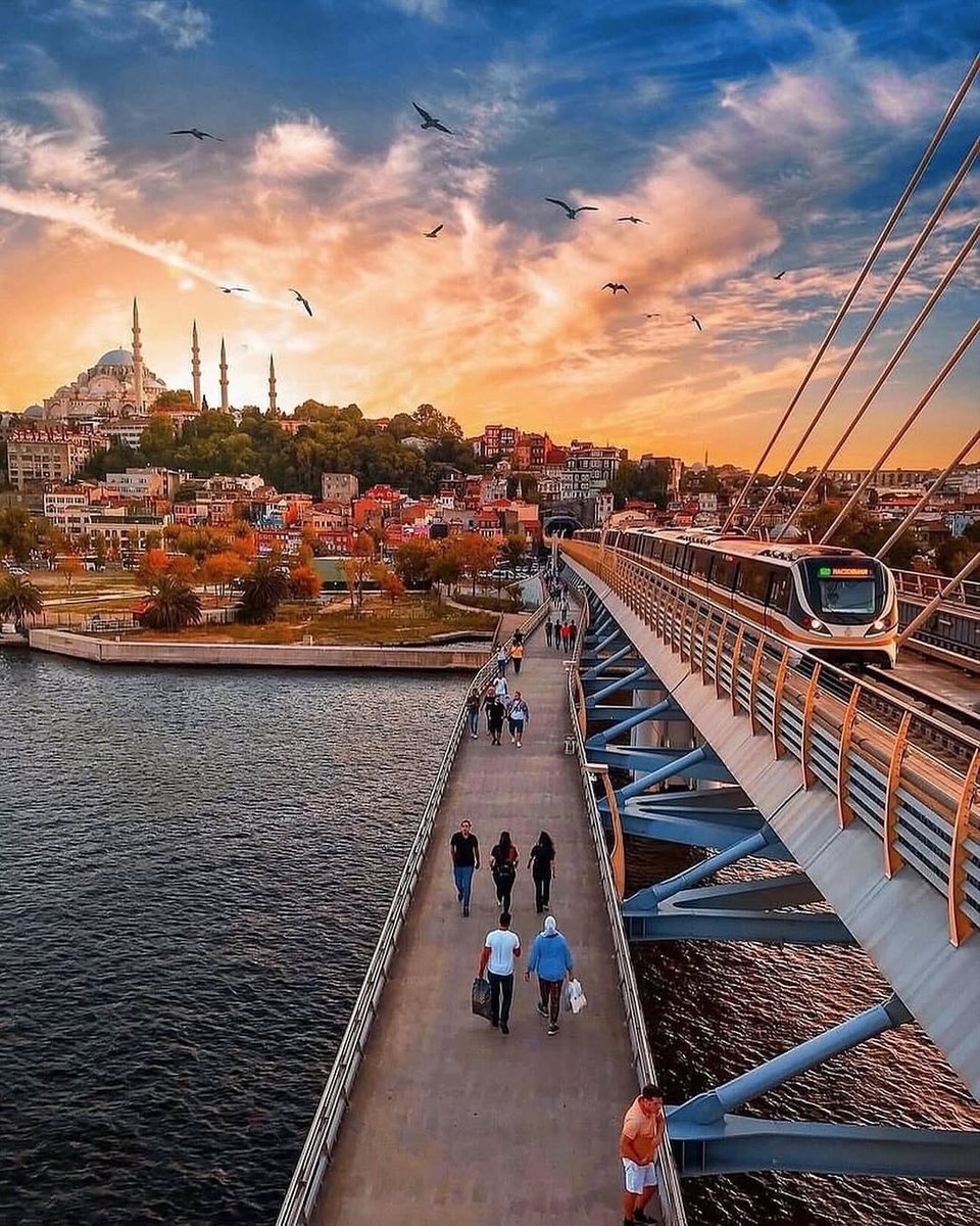 Travel Guide tweet media