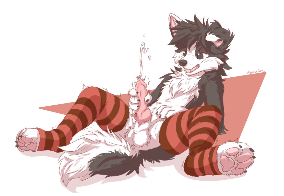 Acronium tweet media