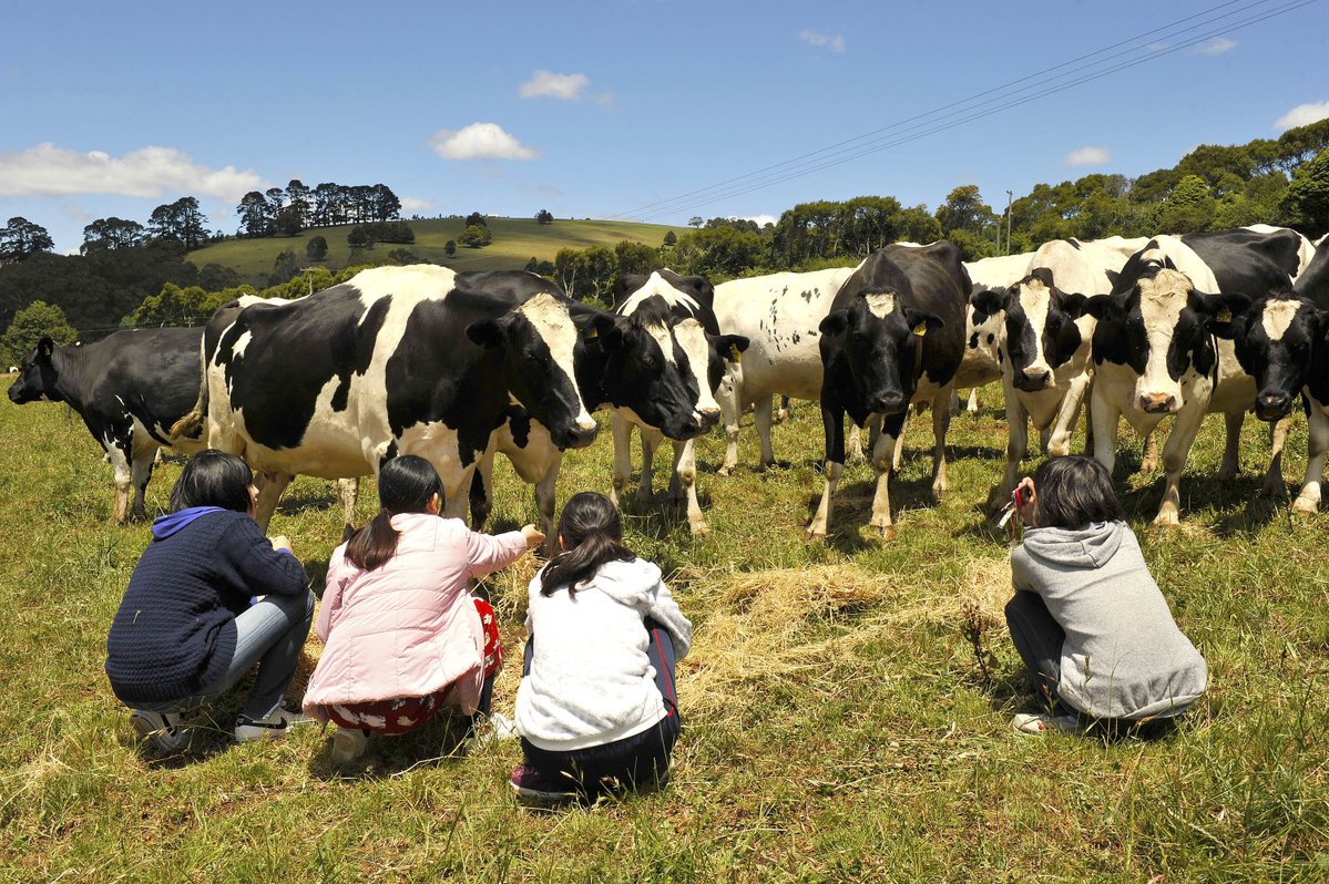 Dify Social tweet media