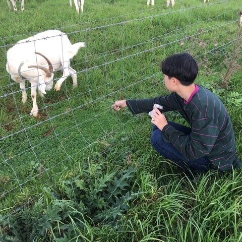 Dify Social tweet media