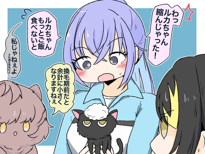 洗われた猫は斑鳩ルカ…🐈‍⬛ 