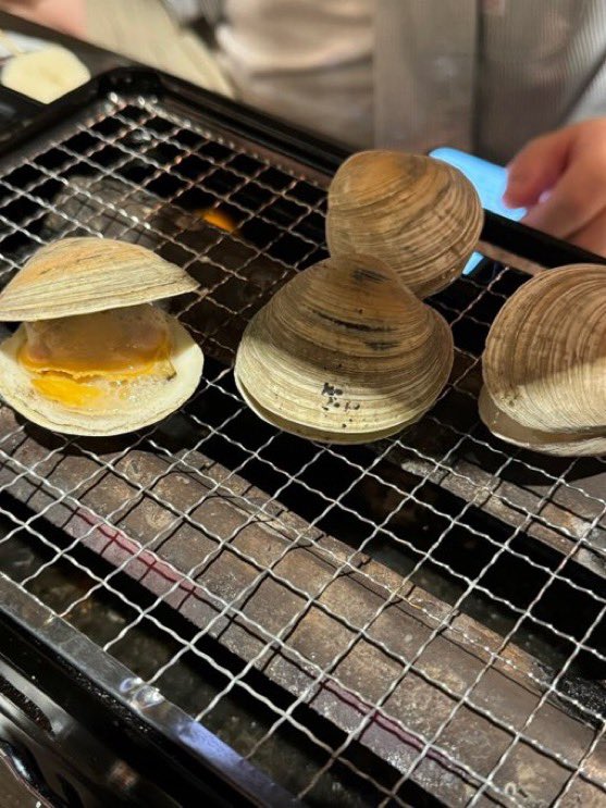 ずっと見ていたい動画 tweet media