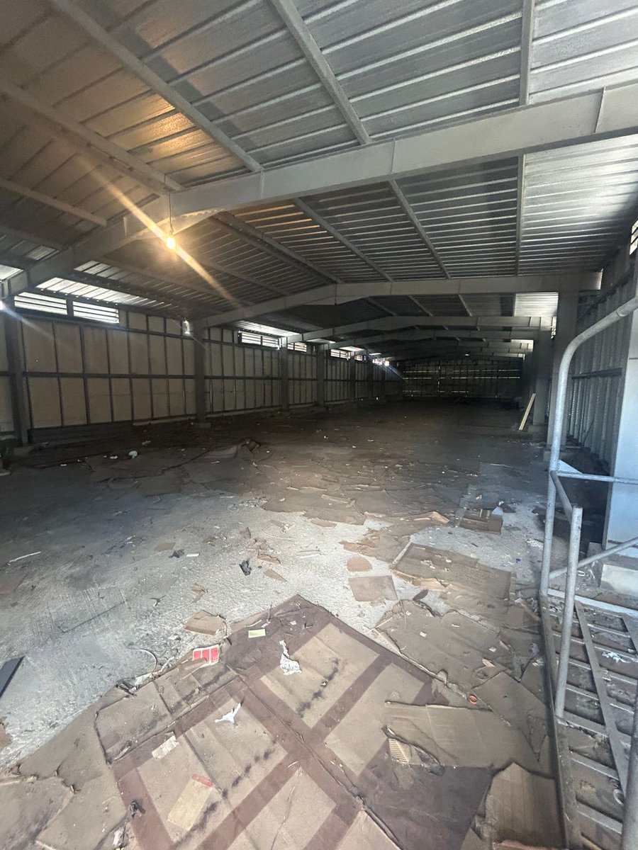 Kory Kosky. 🦁 Bicampeón tweet media