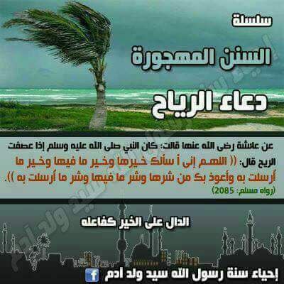 أحمد سعيۓ ..♡ tweet media