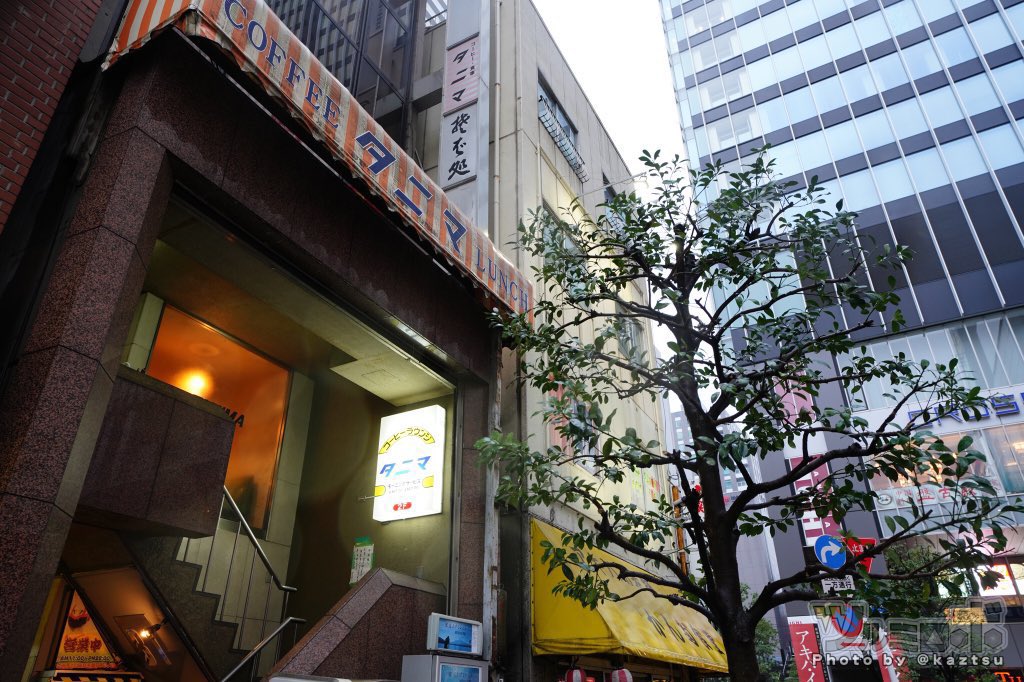 ﾂﾙﾐﾛﾎﾞ tweet media