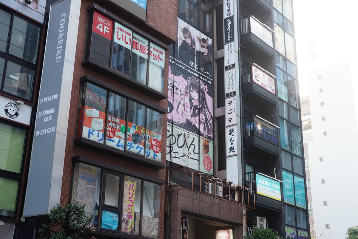 ﾂﾙﾐﾛﾎﾞ tweet media