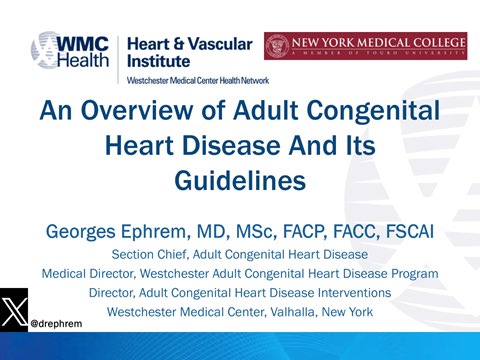 Georges Ephrem tweet media