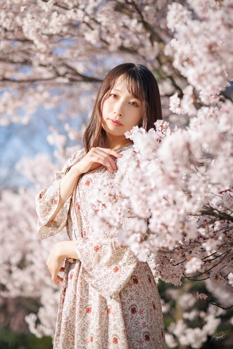 📷聖人(Kiyohito) tweet media