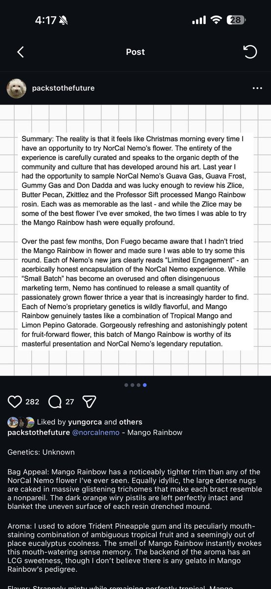 packstothefuture tweet media