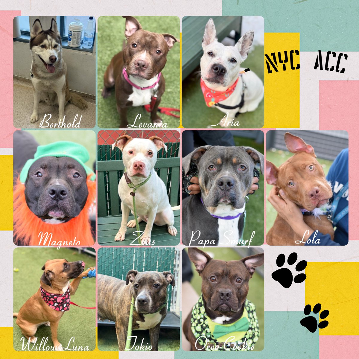 Not the Same tweet media