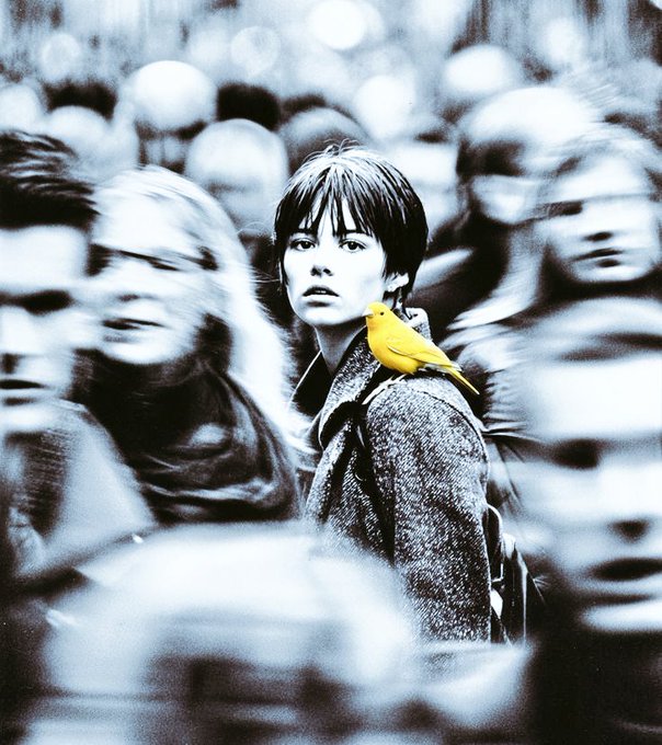 ben deniz tweet media