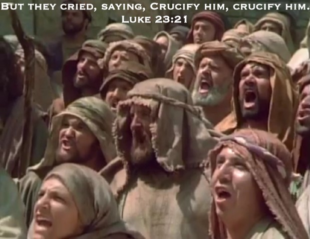 TopLobsta tweet media