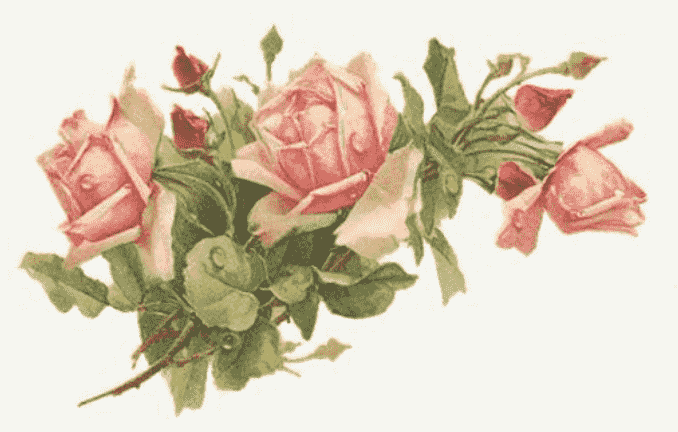 Gene The Ox tweet media