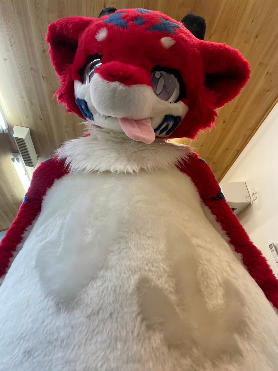 フータロウ@? tweet media