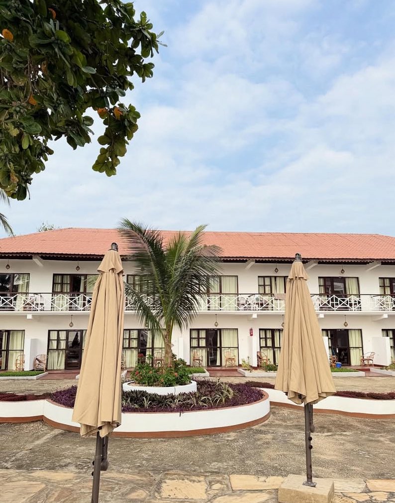 MJANJA🦁 tweet media