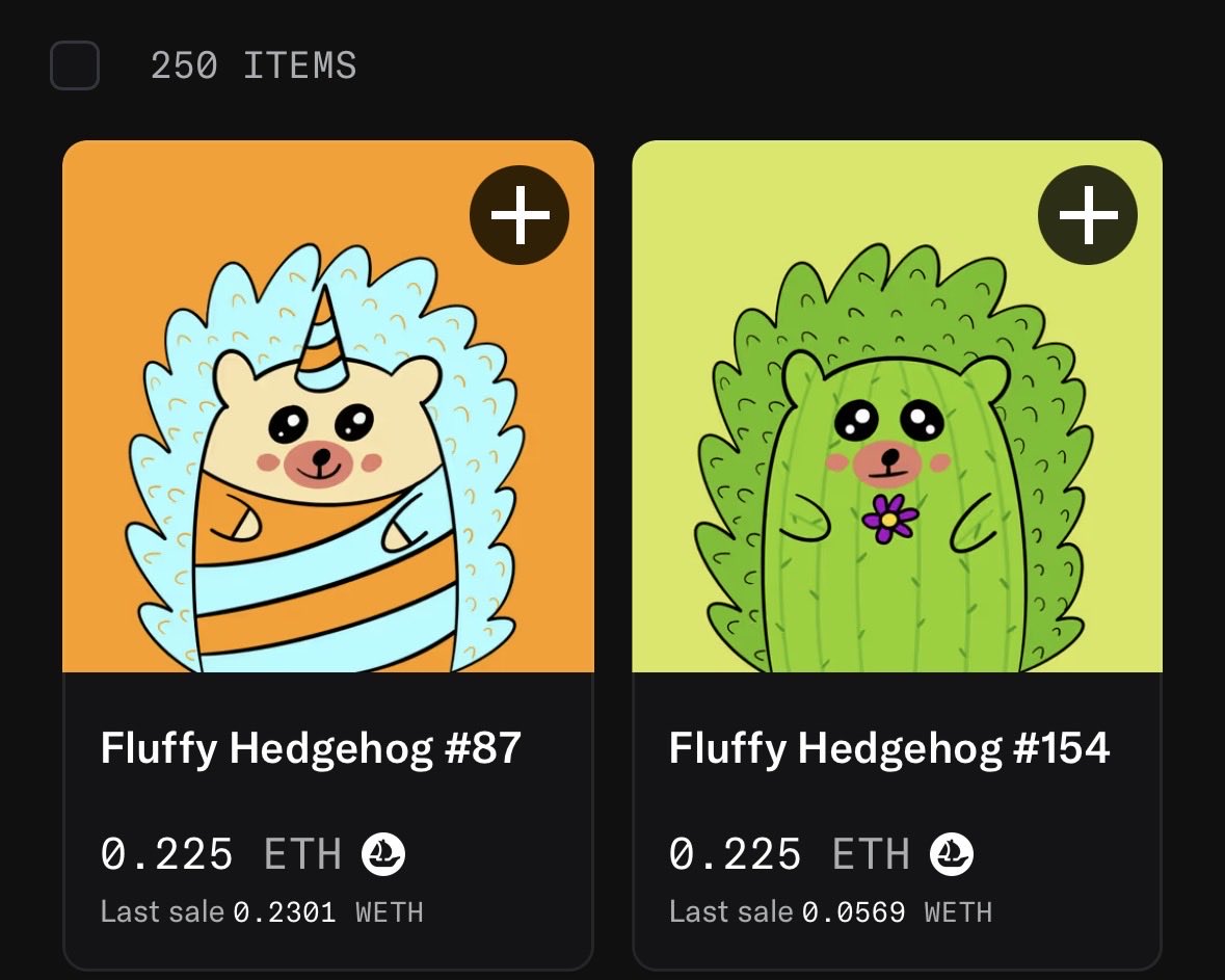 Fluffy Hedgehogs 🦔 tweet media