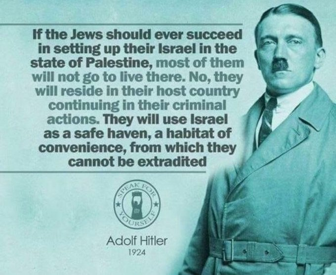 Dillird Q Thurman 🇵🇸 🔻 tweet media