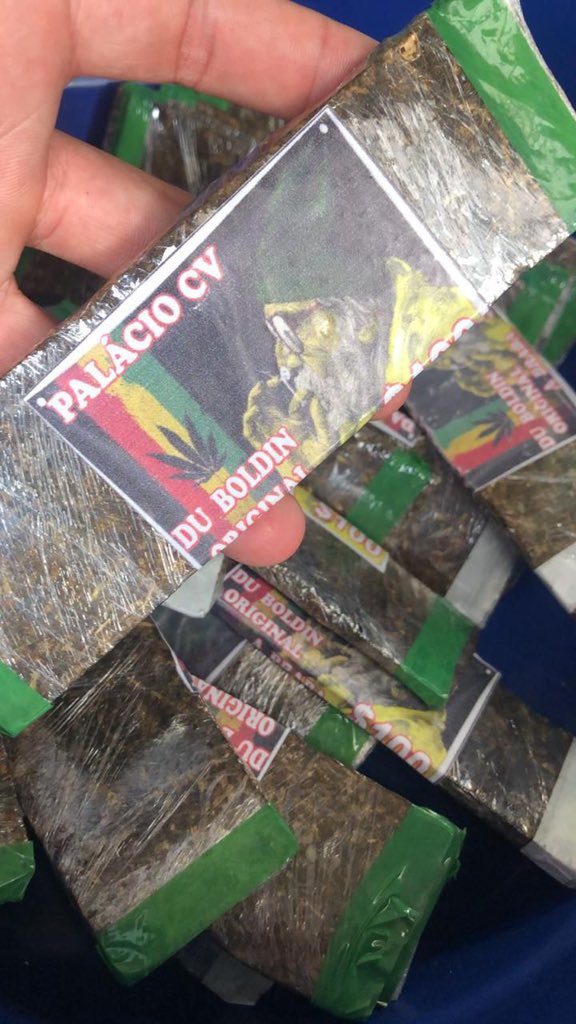 🍁 𝑪𝑨𝑵𝑵𝑨𝑩𝑰𝑺 𝑫𝑶 𝑹𝑰𝑶 🍁 tweet media