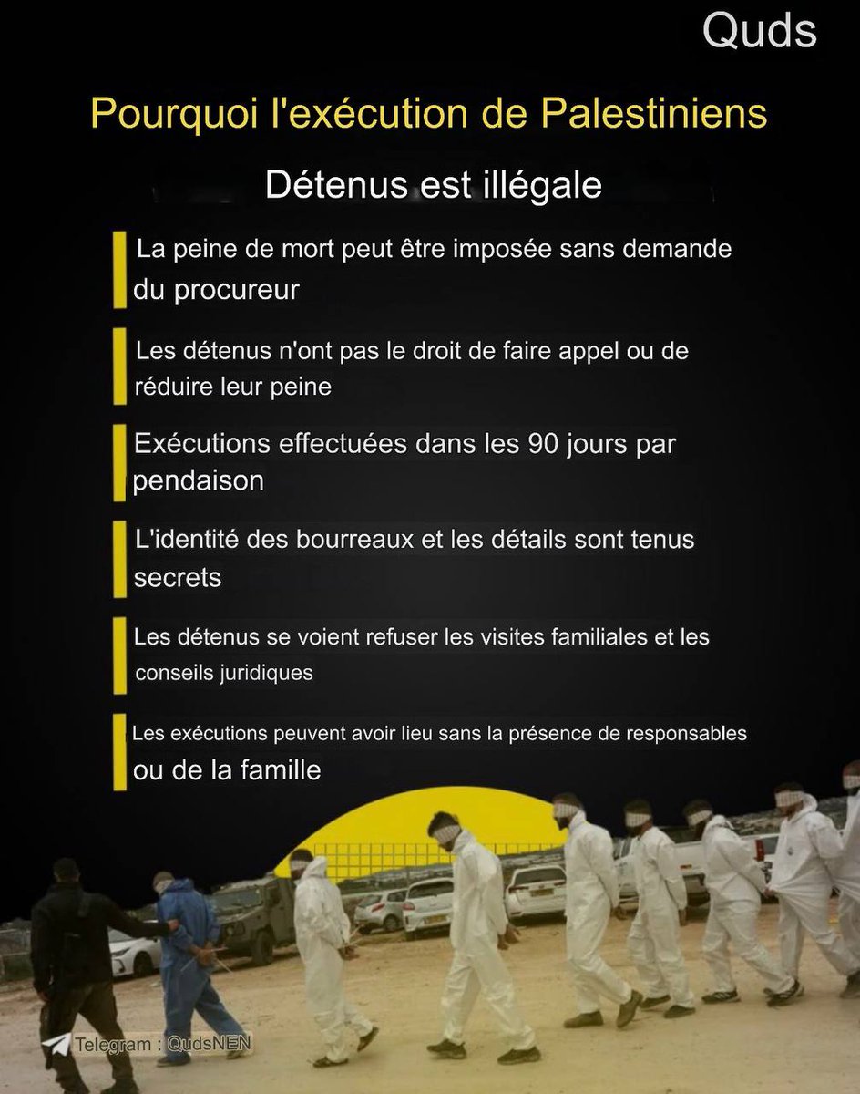 Monica φ 🇨🇵🇵🇸🖤 ❤️ 💚 tweet media