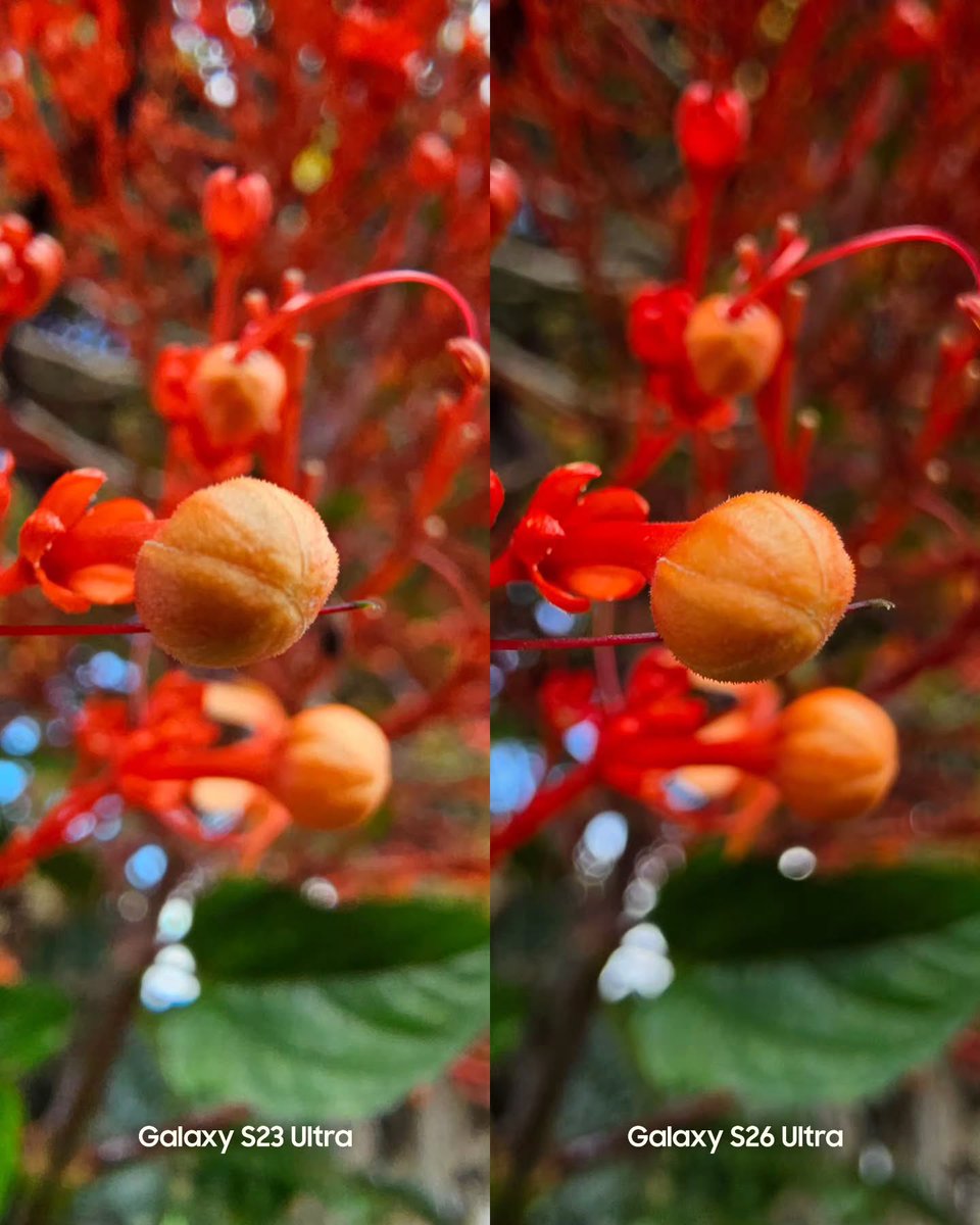 smartechdaily's tweet image. 🆚📸
مقارنة تصوير بين جهازي #GalaxyS23Ultra و #GalaxyS26Ultra 🤔
ما رأيكم بالنتائج؟