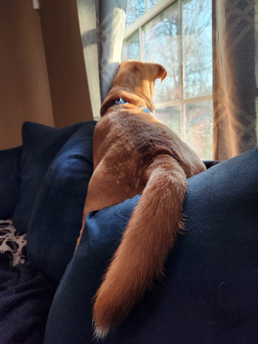 Dave Hines 💙🎗 tweet media