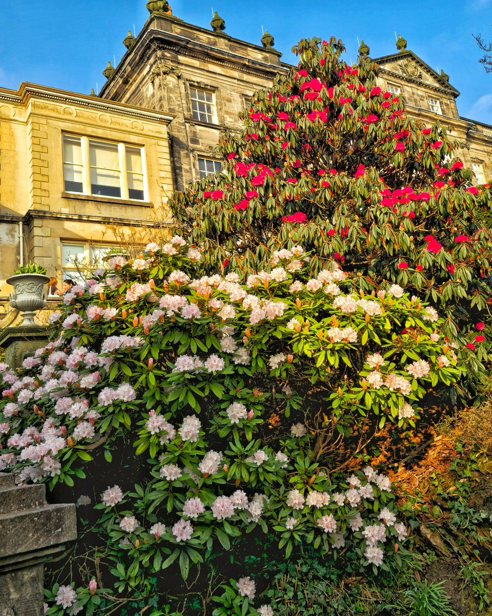 Trevor Wood tweet media