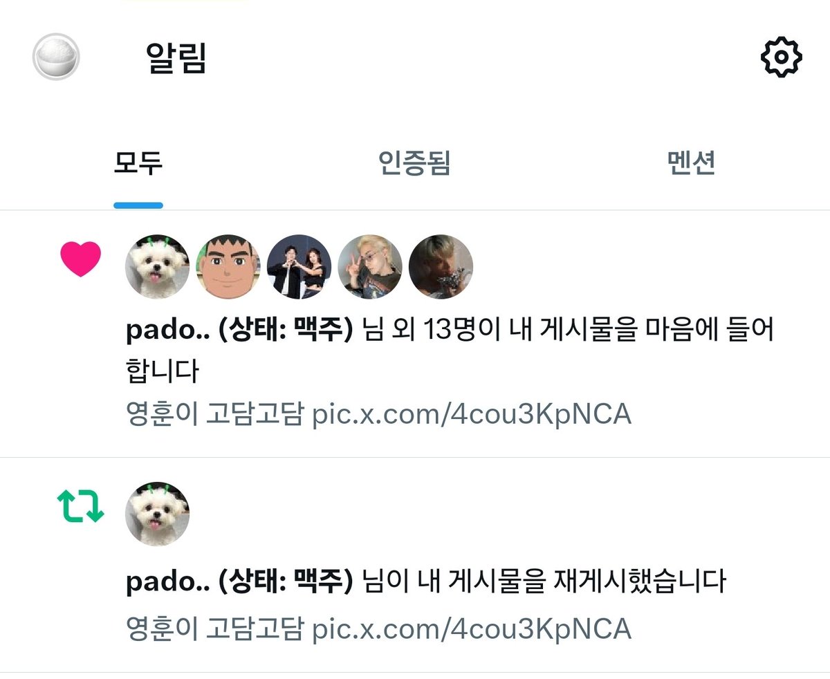 밥 tweet media