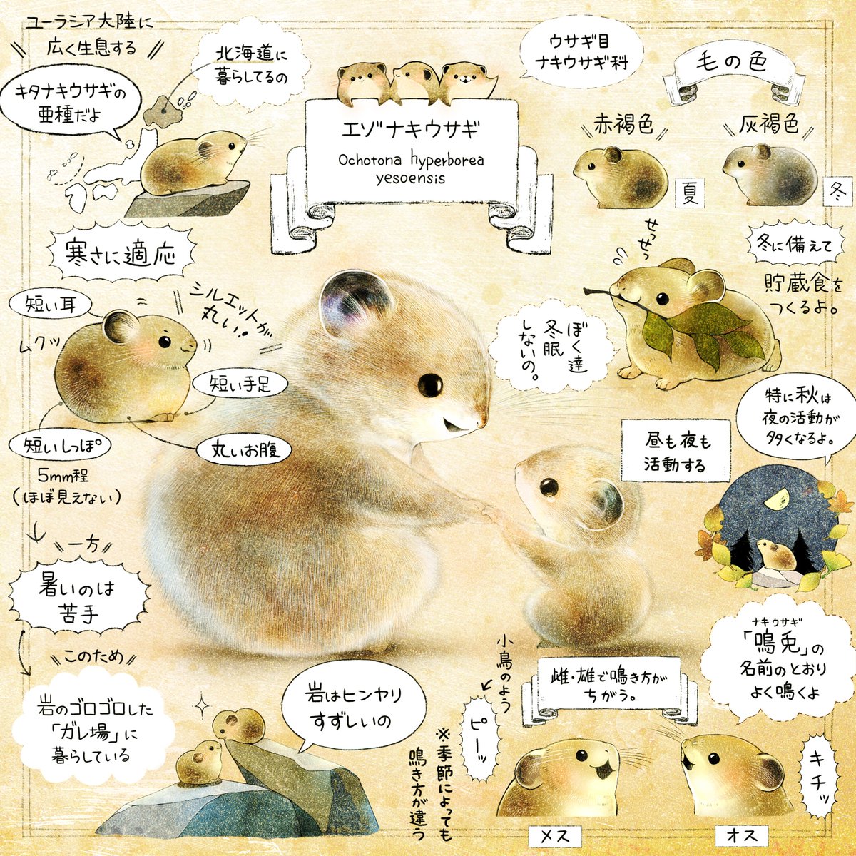 ForestStoryTime's tweet image. 日本の自然の中に暮らす、ちいさな生きもの達。

それぞれに暮らしがあって、それぞれに物語があります。
同じ地球という場所で、いまも生まれて続けている物語。

ずっと先の未来にも、
彼らの物語が、続いてますように🌱

#アースデー　#EarthDay