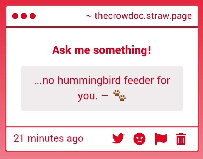 ❝ 𝘿𝙤𝙘𝙩𝙤𝙧 ;; tweet media